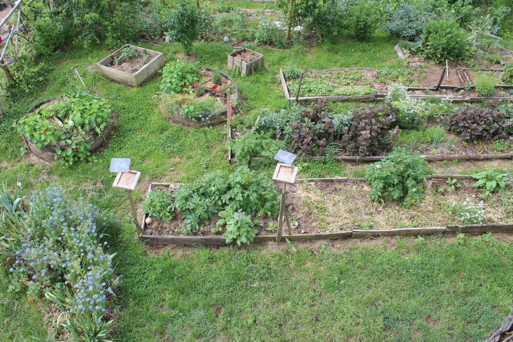 jardin en permaculture de Ter'lenn