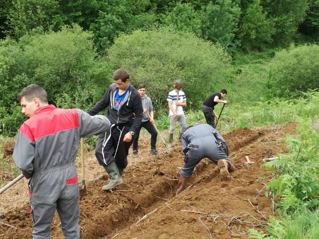 lycéens au travail sur buttes de permaculture